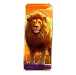 Lion
Safari
